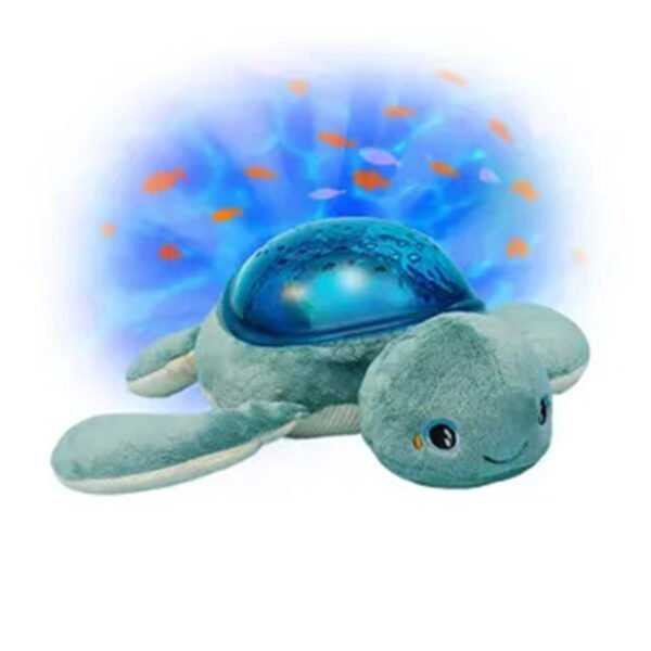 MR AAQ02R TURTLE 02