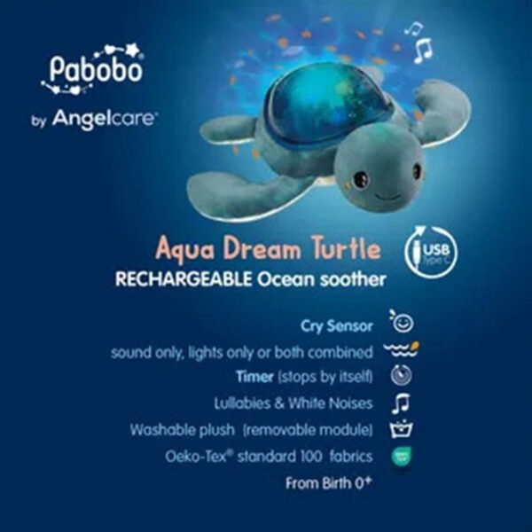 MR AAQ02R TURTLE 03