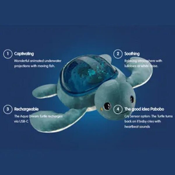 MR AAQ02R TURTLE 04