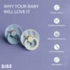 MR B11022103 05