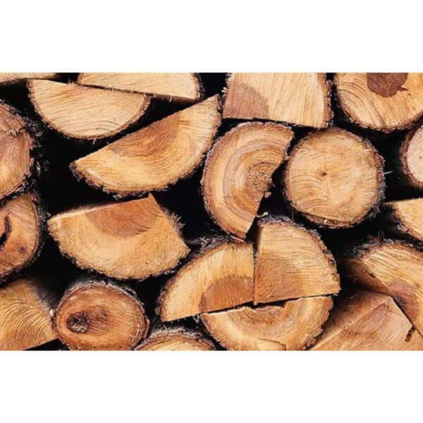 ELT-OAK40L-04