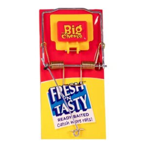 STV Fresh Baited Rat Trap