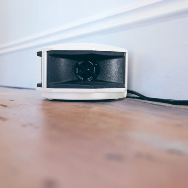 STV725_1
