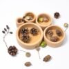10340 Schaelchensatz natur v7