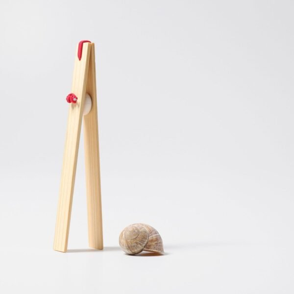 42128 Holzpinzette v2