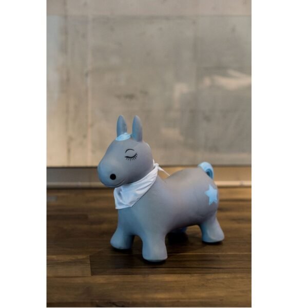 4260639721622_Kindsgut_Hüpftier Pony_OR_SF_008