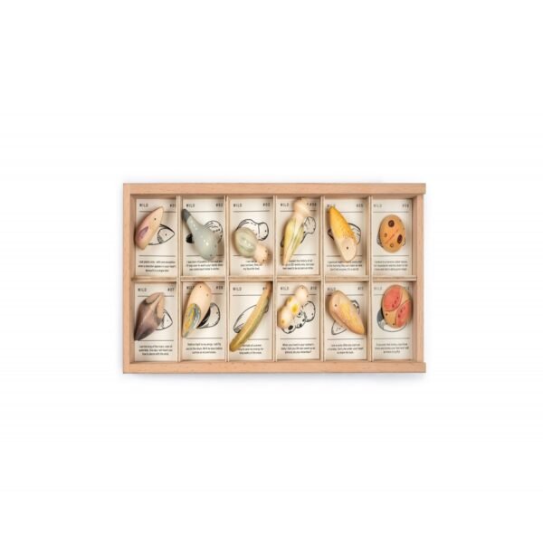 Art 22 232 MG 0001 Wild Joguines Grapat 1 scaled 1