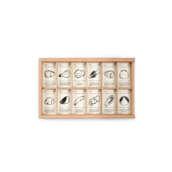 Art 22 232 MG 0002 Wild Joguines Grapat 1 1024x683 1