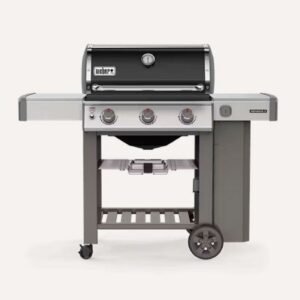 Genesis? II E-310 GBS Gas Grill