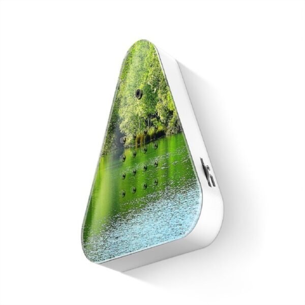 Forest.1