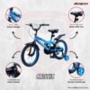 12CLASSICBLU 4