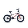 20MOUNTRED 1