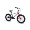 20MOUNTRED 2