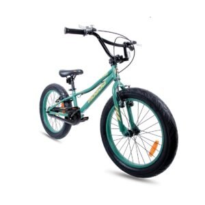 Navigator 20 inch Kids Fat Bike - Green
