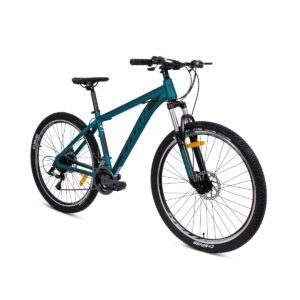 Titan Mountain Bicycle 29 Inch - Dark Green