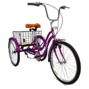 Mogoo - Hauler 6 Speed Tricycle - Purple - 24-Inch