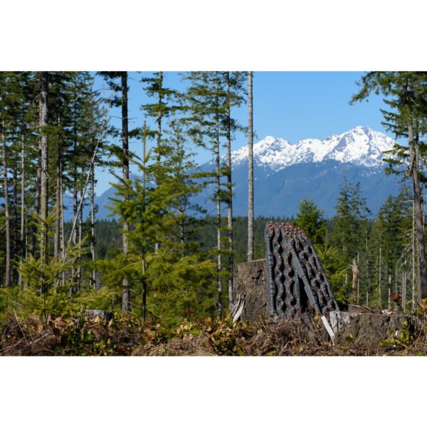 TREDPROMGO_woods_mountains-19