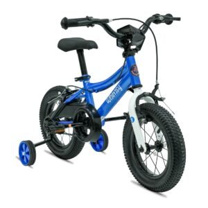 Whimsy Wheels - Classic Kids Cycle - 12 Inch - Blue