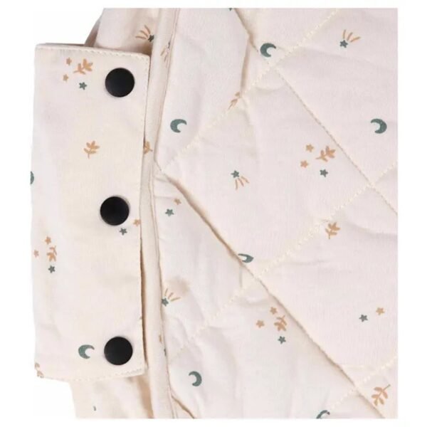 PGORGMOON.3