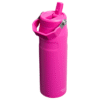 Web PNG Square TheIceFlowBottleFlipStraw2 024OZ VioletBlosso 1