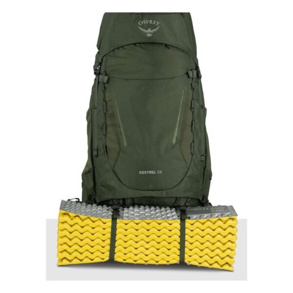 kestrel58l_s23_detail3_bonsaigreen