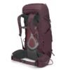 kyte38l s23 sideback elderberry