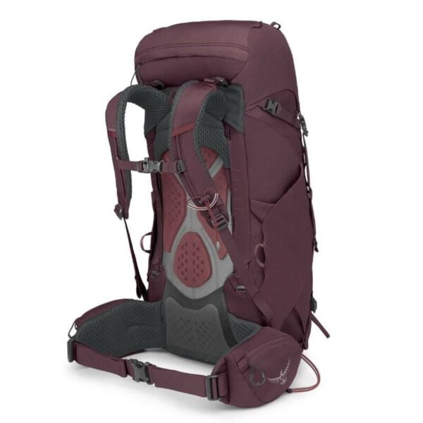 kyte38l s23 sideback elderberry