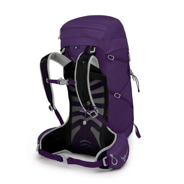 tempest30f20_s21_sideback_violacpurple