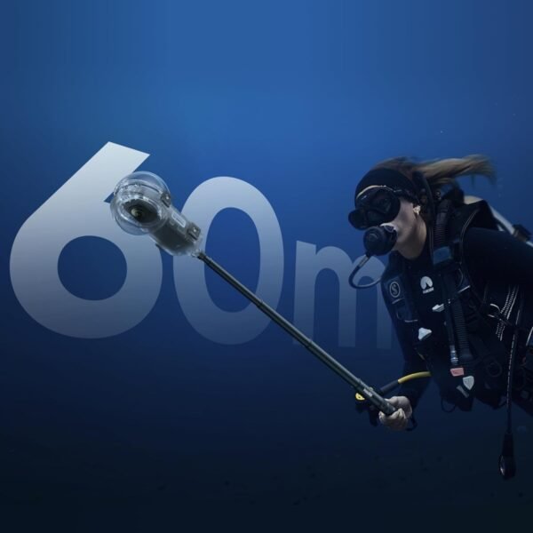 71hQg2QgbKL._AC_SL1500_