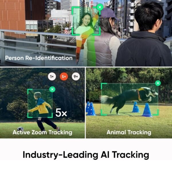 81cMnXVRhcL._AC_SL1500_