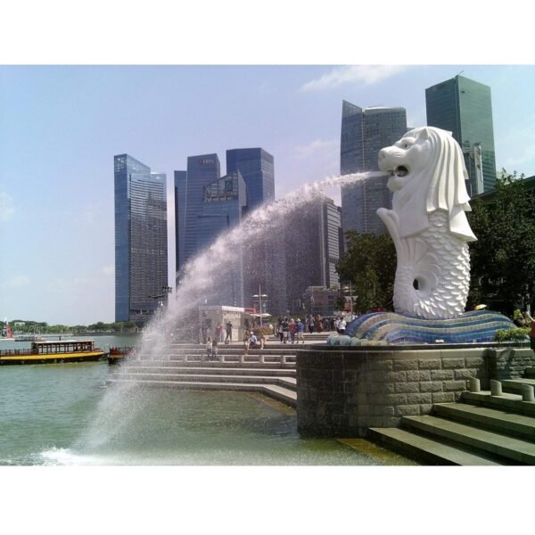 916D24fFphL._AC_SL1500_