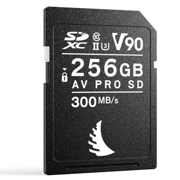 81fNpxt3XhL._AC_SL1500_