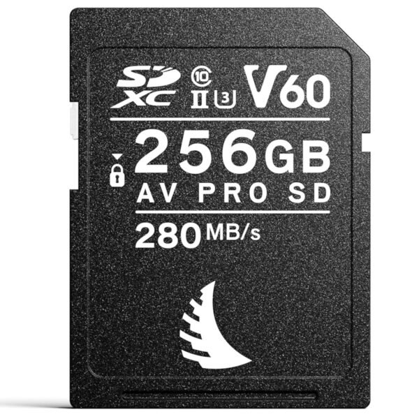 81qVDTBC6uL._AC_SL1500_