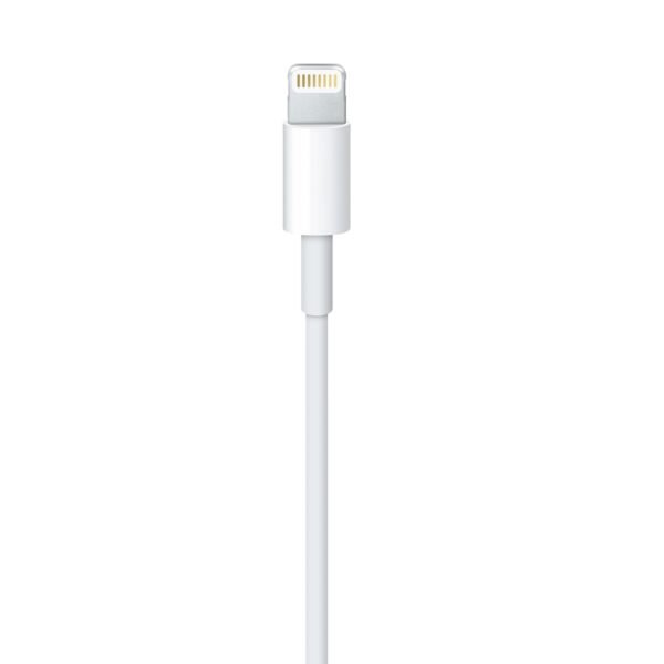 IMG 5650284 m png 0
