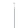 IMG 673976 d resized 4000 4000 png 0